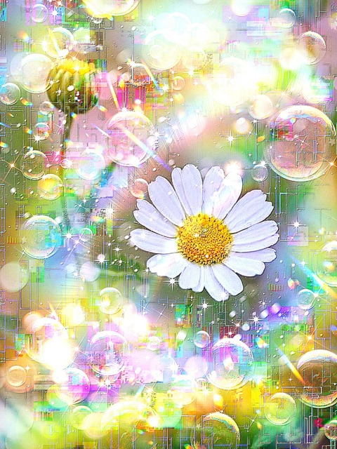 a-2216 朝露に映る希望 Dewdrops of Hope