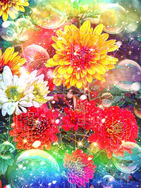 a-2121 幸せの数は美しさの数 The Beauty of Grace