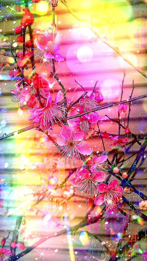 Picsart_23-02-17_20-01-35-925