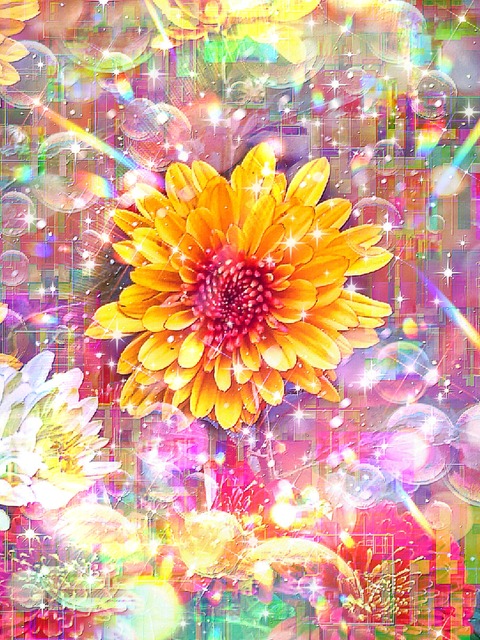 a-2102 柔らかく包む朝の光 Morning Glory