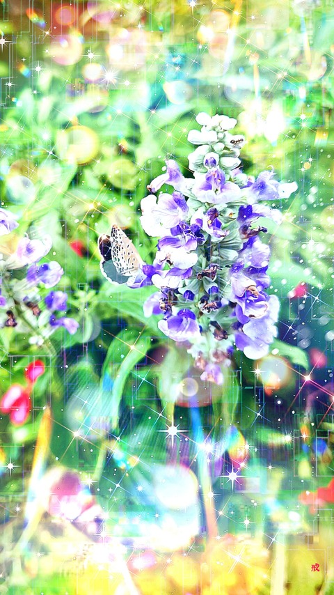 Picsart_22-09-23_22-30-08-246