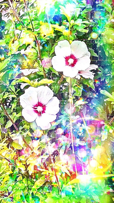 Picsart_22-08-13_22-04-28-477