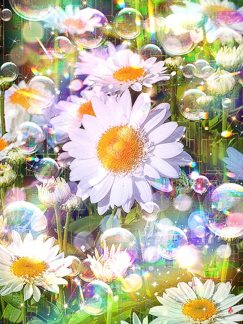 a-2240 春の恩寵 Eden's Bloom