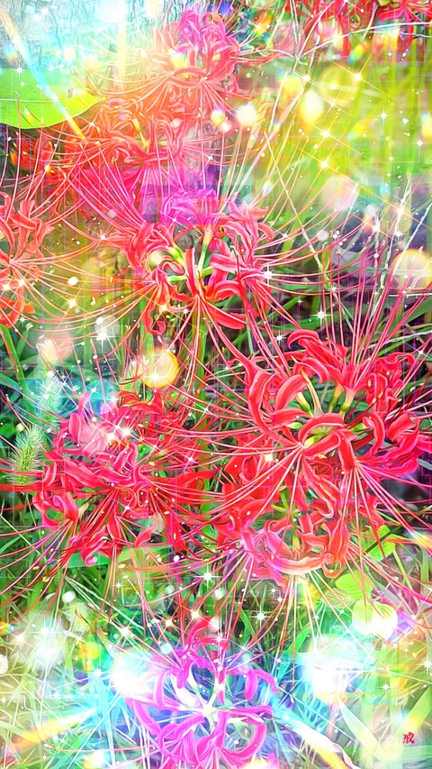 Picsart_22-09-25_21-30-46-807