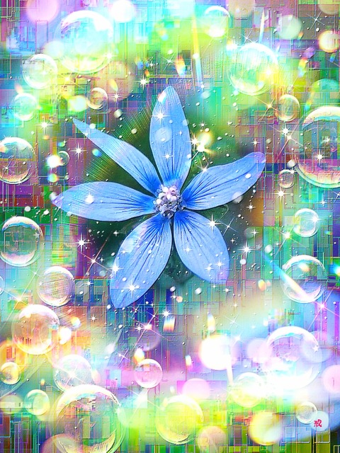 a-2204 夢紡ぐ早春の星 Sacred Luminescence