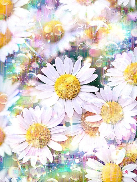 a-2207 純白の光の園 Elysium of Pristine Radiance