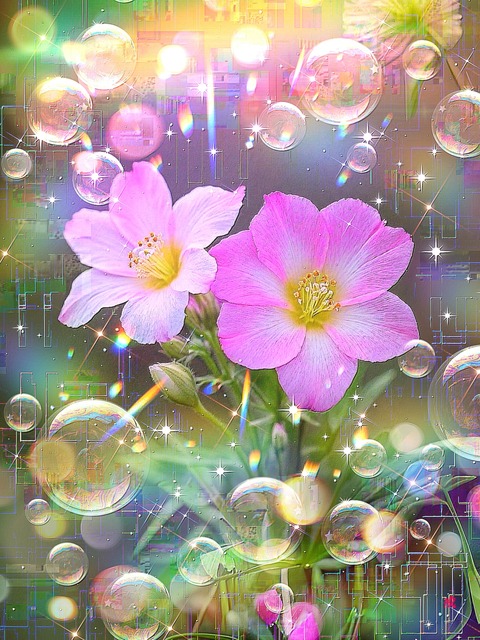 a-2256 普遍の輪舞 Whispers of the Celestial Bloom