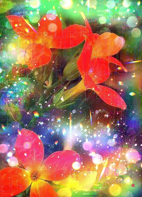 Picsart_23-02-13_21-44-05-824