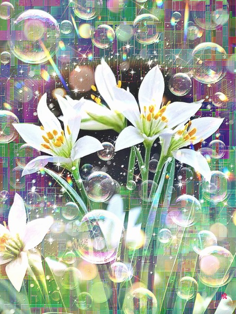 a-2195 希望の虹彩 Ethereal Grace