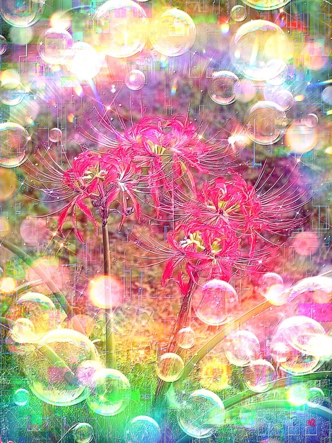 a-2303 光彩陸離の残夏 Tranquil Serenity