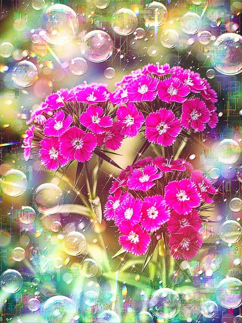 a-2432 虹光の庭 Tender Hues of Hope