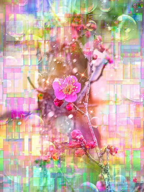 a-2157 仄かな春の訪れ Blossoming Grace