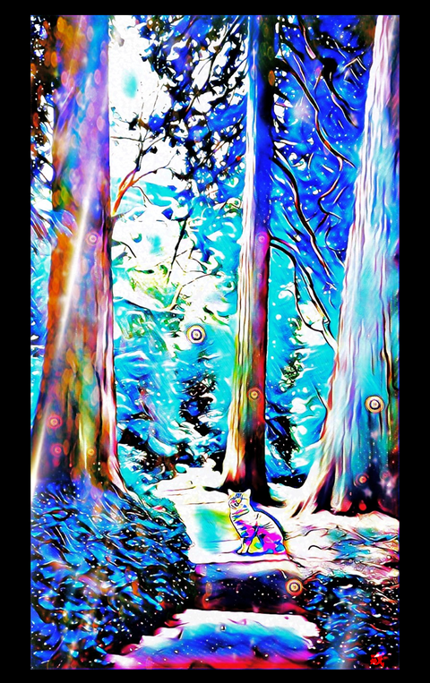 09