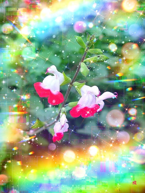 Picsart_22-11-13_21-56-15-618