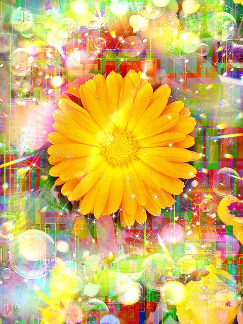 a-2093 太陽の花の光 Bond of Sun glow