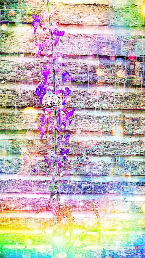 Picsart_22-07-06_14-42-03-821