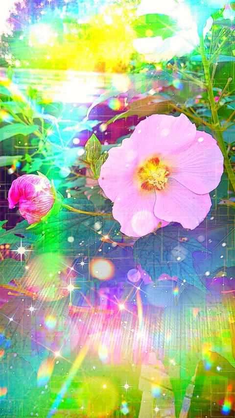 Picsart_22-10-17_22-46-56-543