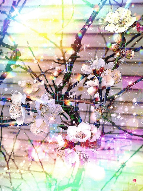 Picsart_23-02-12_22-24-13-038