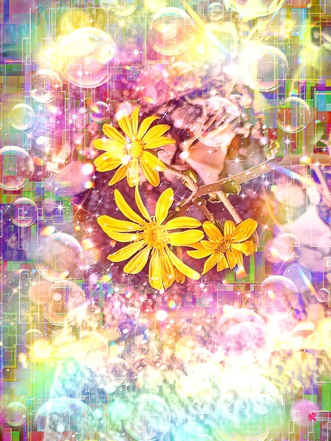 a-2145 冬に咲く虹彩 The Iris of Grace