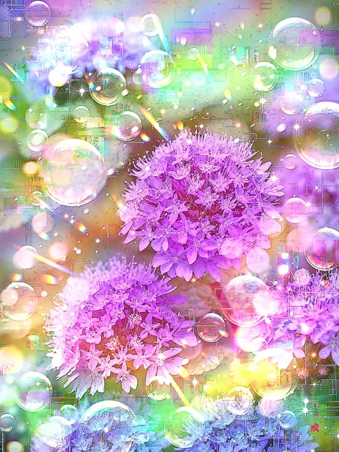 a-2235 春霞の光輪 Ephemeral Halo
