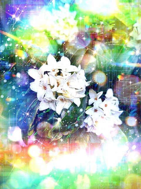 Picsart_23-03-11_21-49-44-326
