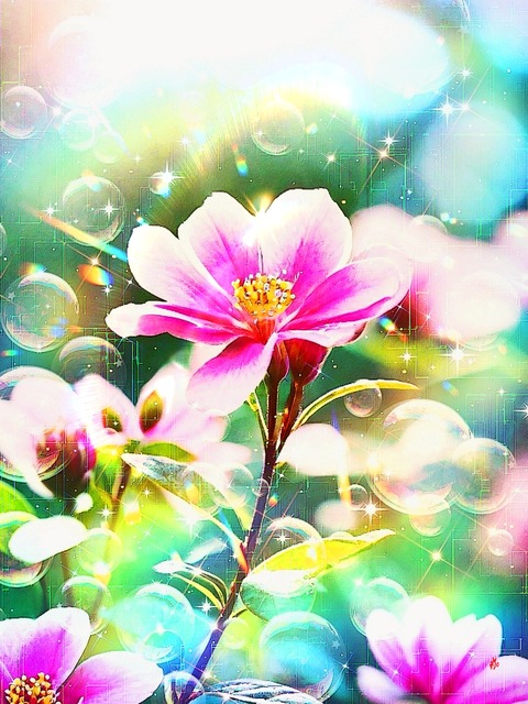 a-2173 陽だまりの喜び Spring's Divine Embrace