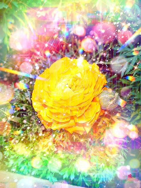 Picsart_23-03-14_21-25-08-540