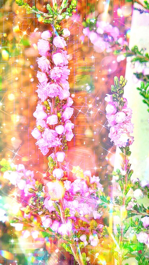 Picsart_22-09-24_22-05-47-187