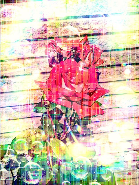 Picsart_23-10-04_23-18-01-690