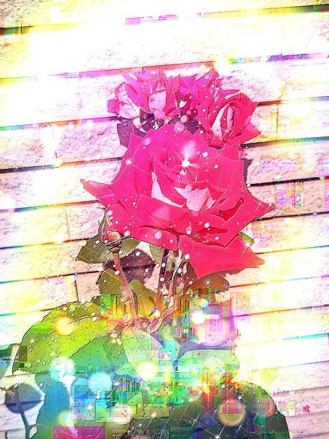 Picsart_23-05-17_21-09-49-403