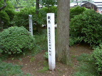 PICT5407