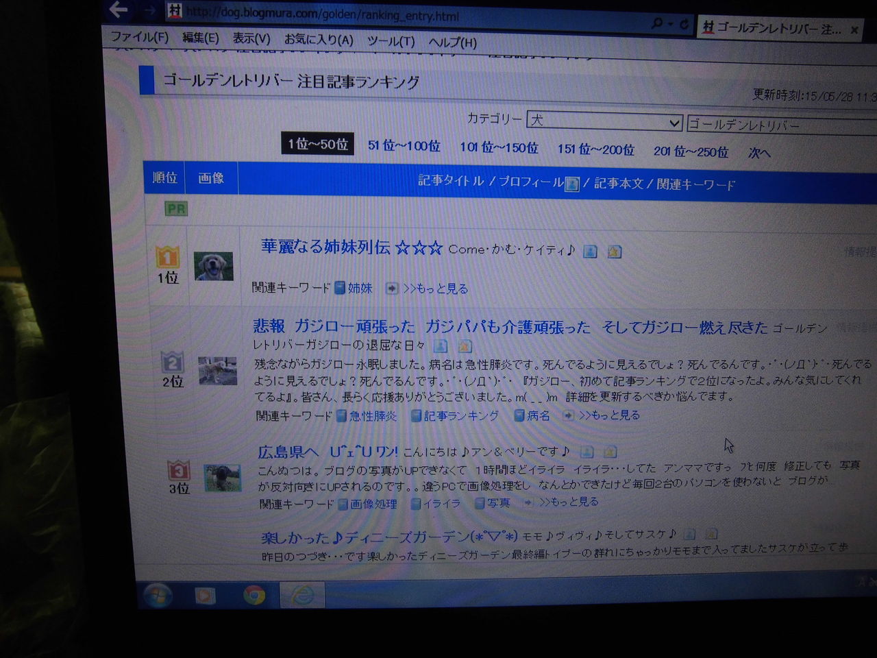 とりあえず今の心境とガジローの事を語ってみました ゴールデンガジローとジロ念のドンとやってみよ とりあえず今の心境とガジローの事を語ってみました ゴールデンガジローとジロ念のドンとやってみよ