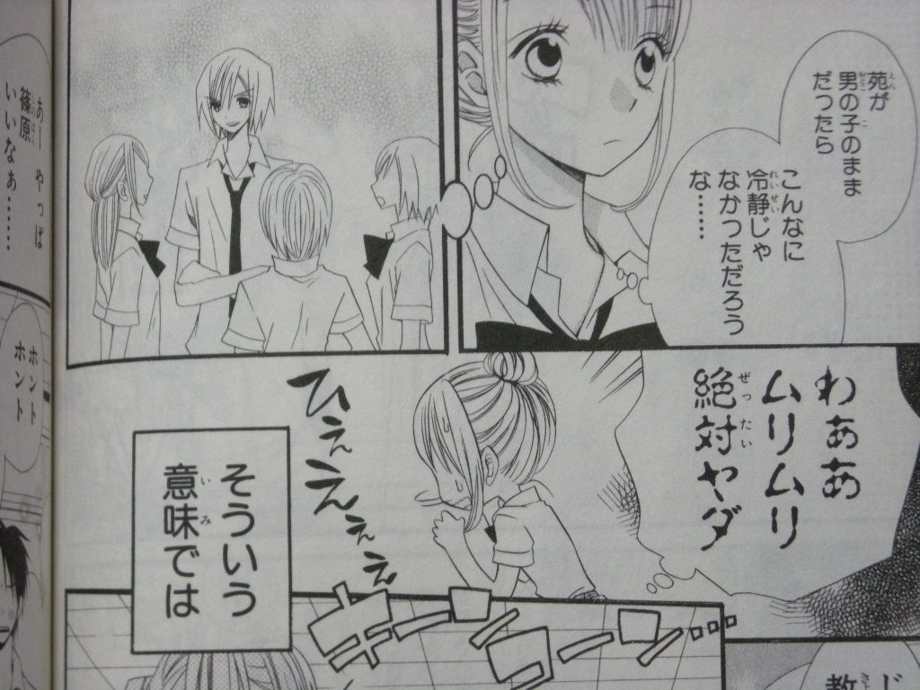 恋敵にならない男の娘という存在 うそつきリリィ 1巻 感想 もふかん 恋敵にならない男の娘という存在 うそつきリリィ 1巻 感想 もふかん