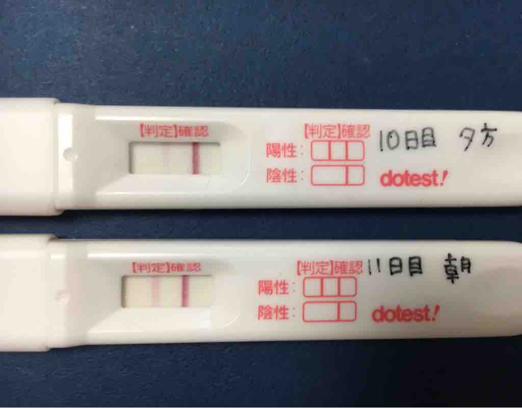 陰性 高温期11日目