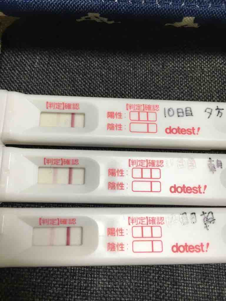 高温期12日目 フライング継続中 低身長 肥満のガーコ 双子ちゃんがやってきた 高温期12日目 フライング継続中 低身長 肥満のガーコ 双子ちゃんがやってきた