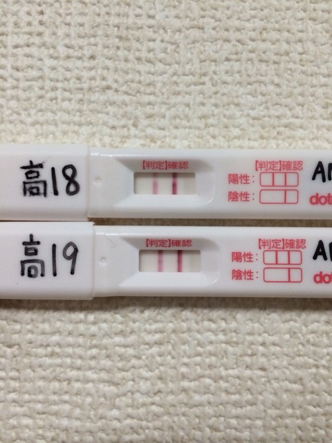 高温期18日目 検査薬