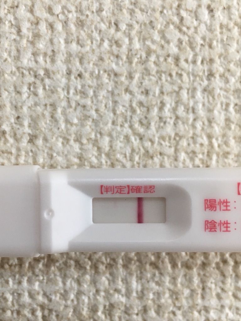 高温期10日目の15時にフライング 低身長 肥満のガーコ 双子ちゃんがやってきた 高温期10日目の15時にフライング 低身長 肥満のガーコ 双子ちゃんがやってきた