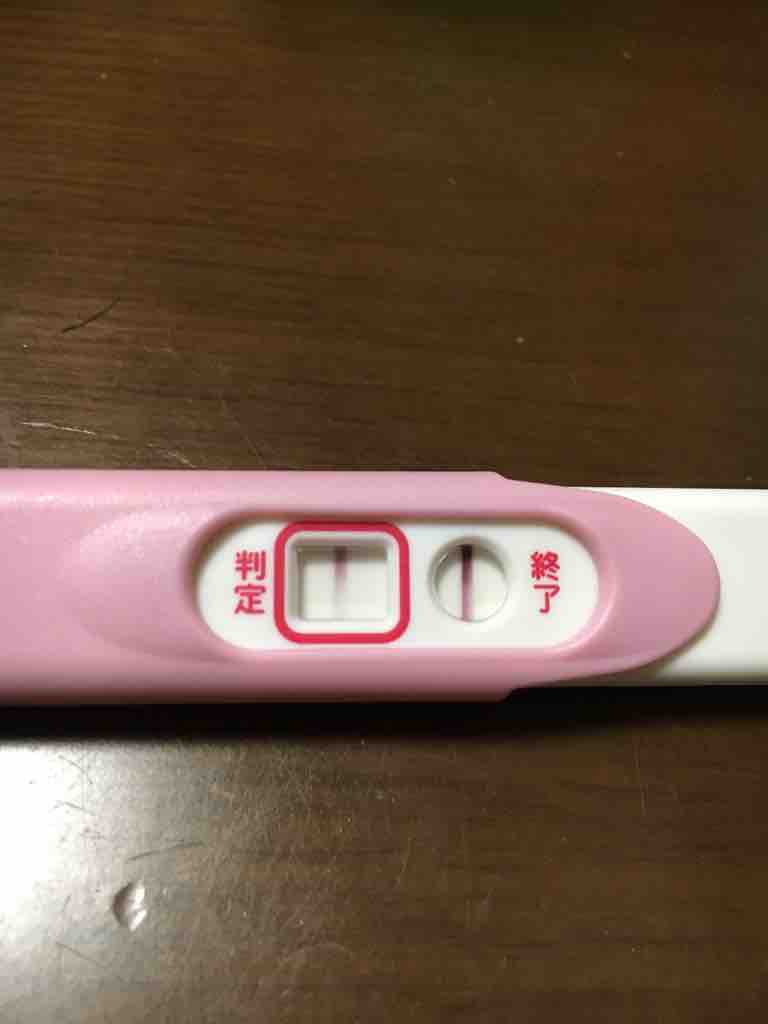 高温期15日目 Pチェック不良品 それともホルモン減ってきてる 低身長 肥満のガーコ 双子ちゃんがやってきた
