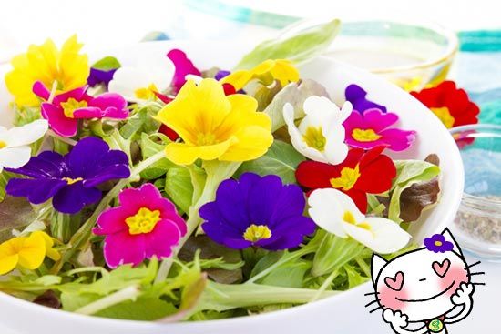 食べられる花「エディブルフラワー」どんな味？ : がくぶんオフィシャルブログ