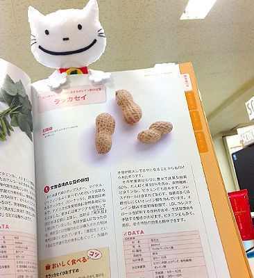 節分で投げる 福豆 は大豆 落花生 がくぶんオフィシャルブログ