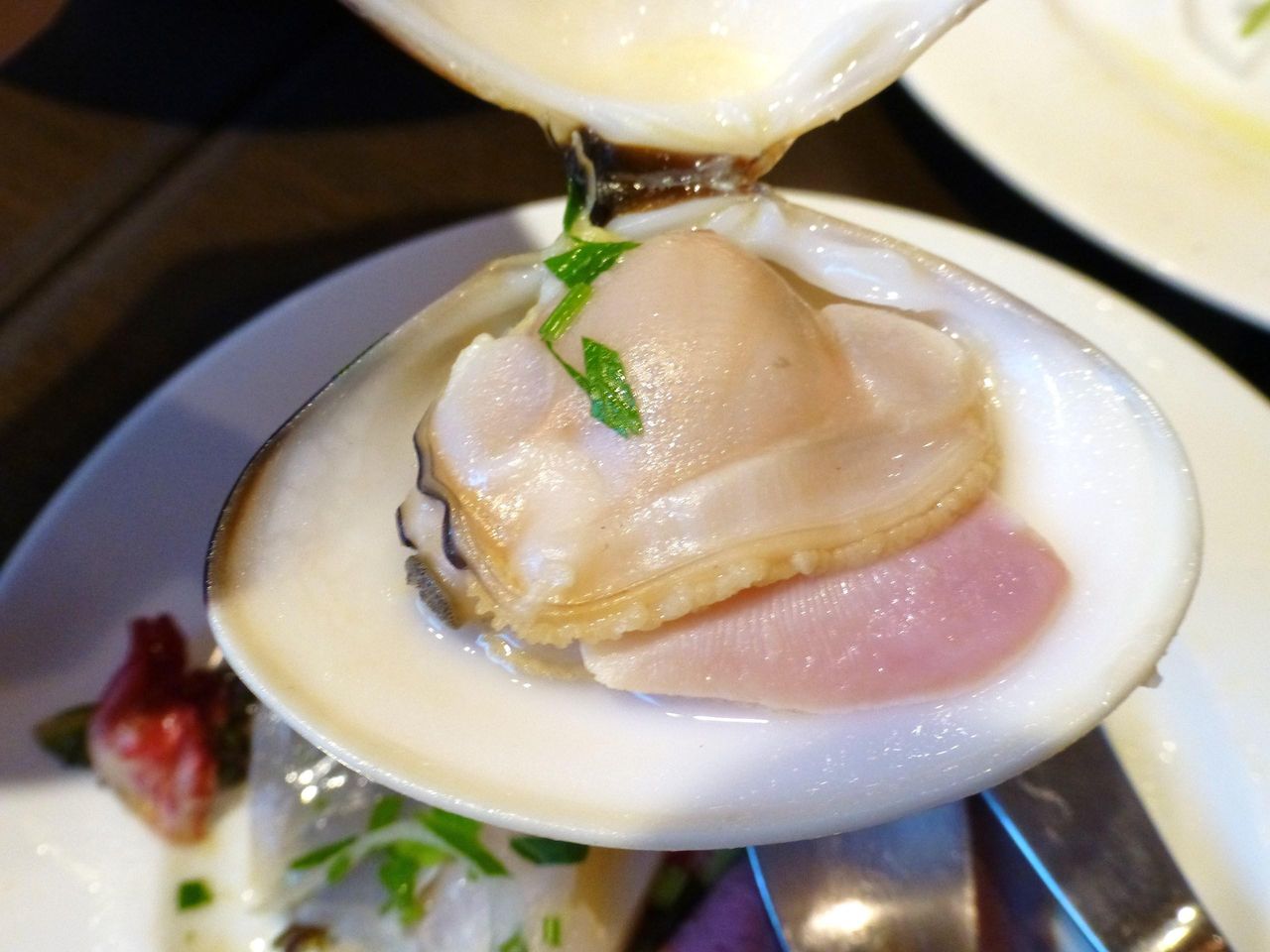 大きなハマグリは、身がプリプリです!
