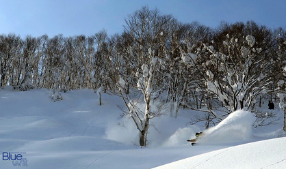 20150101_TP-IMG0421-2