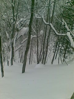 20100107_Hakuba-naoki