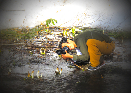 20100506_kuwa3-2