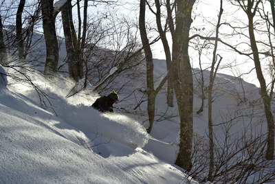 2014_NewYear-Session_NJ-POW