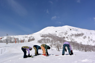 Niseko-Spring