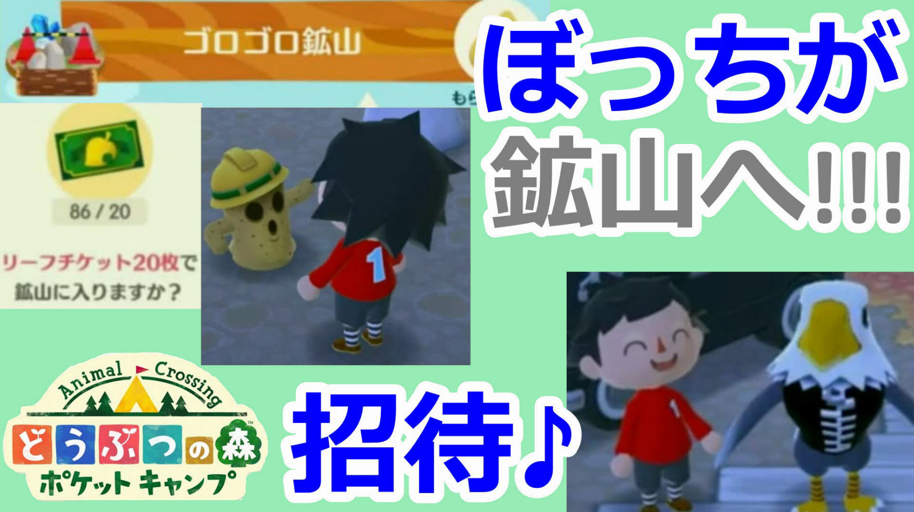 どうぶつの森ポケットキャンプ実況 フレがいないぼっちがリーフチケット枚で鉱山へ もう一人の鳥さんをキャンプに招待 学生共の墓場youtube 芸能 Youtuberブログ どうぶつの森ポケットキャンプ実況 フレがいないぼっちがリーフチケット枚で鉱山へ もう一人の鳥さんをキャンプに招待 学生共の墓場youtube 芸能 Youtuberブログ
