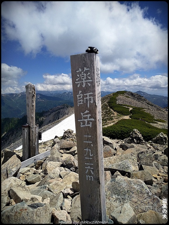 yakuDSC_0891