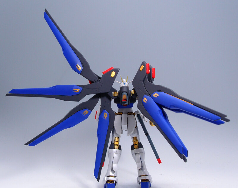 HGCE ストライクフリーダムガンダム 光の翼DXエディション : G HGCE ストライクフリーダムガンダム 光の翼DXエディション : G