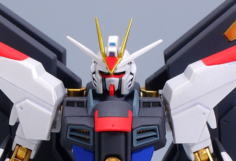 HGCE ストライクフリーダムガンダム 光の翼DXエディション : G HGCE ストライクフリーダムガンダム 光の翼DXエディション : G